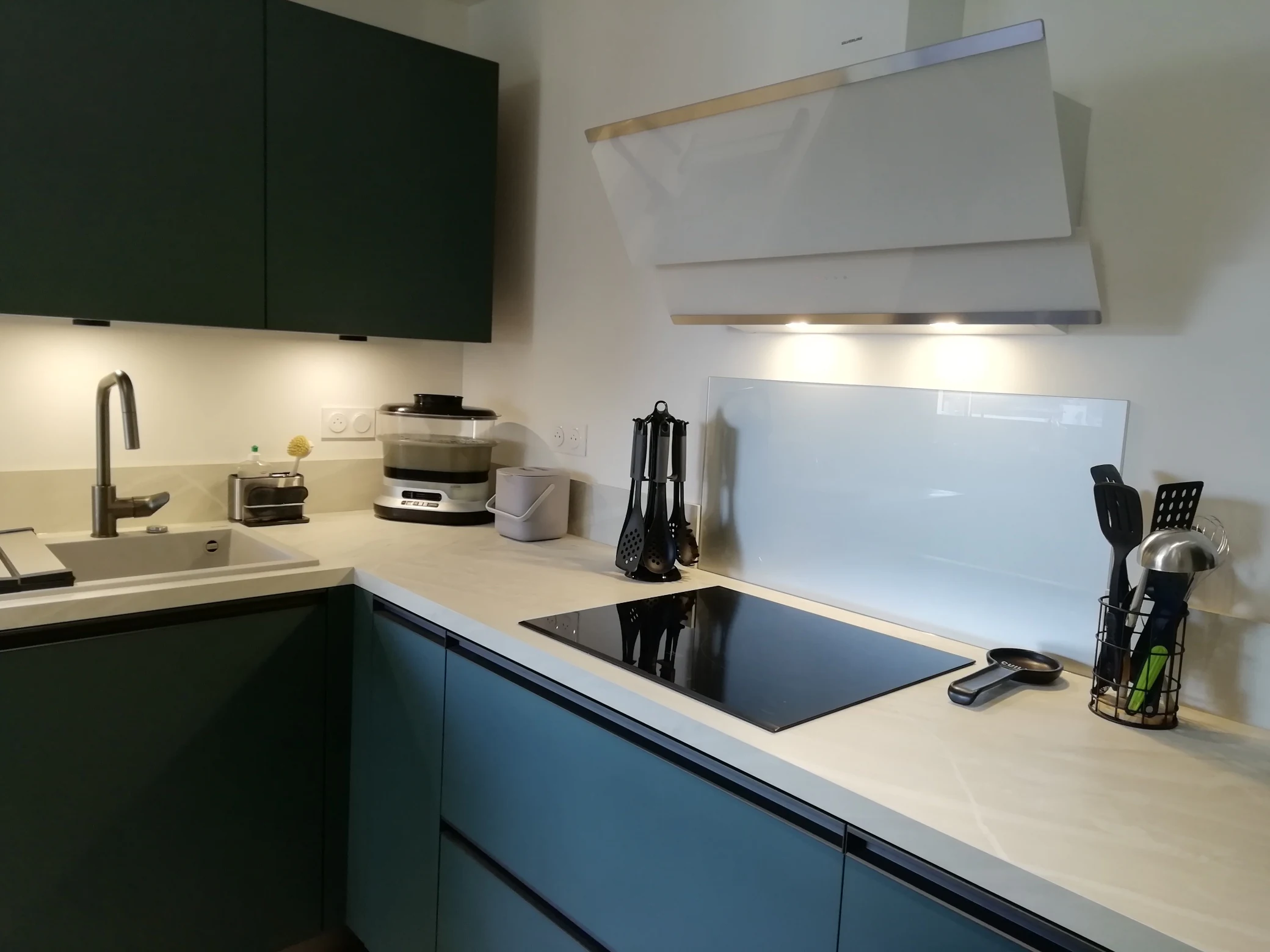 Plaque à induction devant une crédence, façades vert foncé, réalisation MT Cuisine à Toulouse